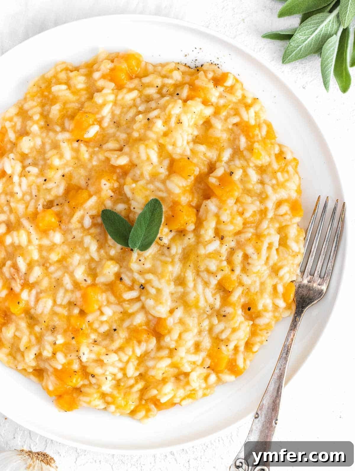 Creamy Butternut Squash Risotto 2 Creamy butternut squash risotto served in a bowl, garnished with fresh sage leaves.