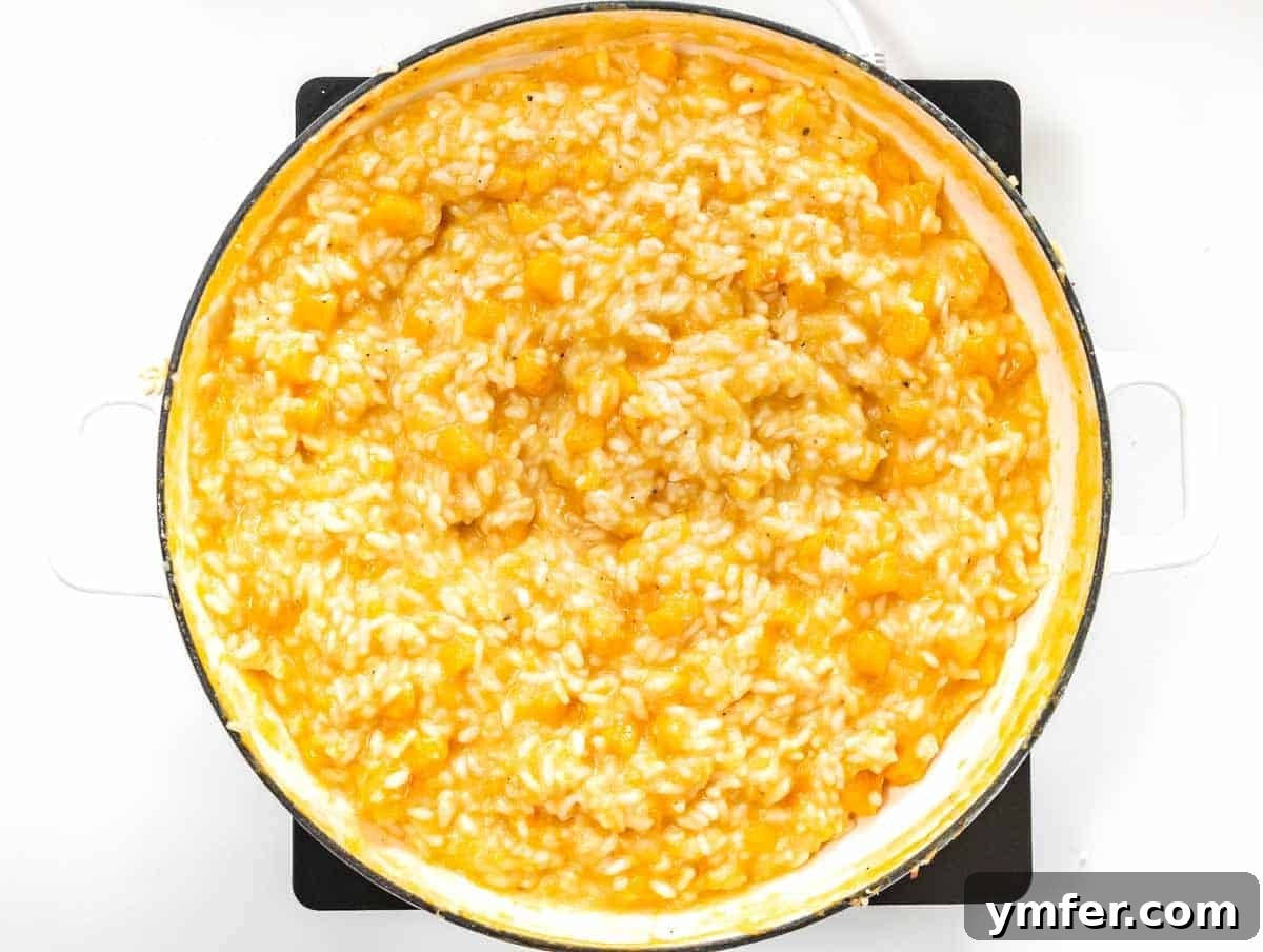 Creamy Butternut Squash Risotto 12 Creamy butternut squash risotto, perfectly finished, in a Dutch oven.