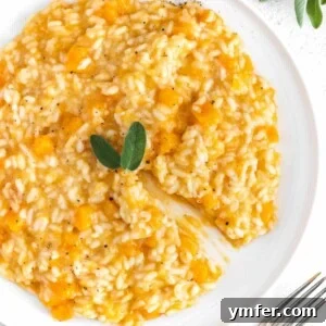 A delicious bowl of butternut squash risotto