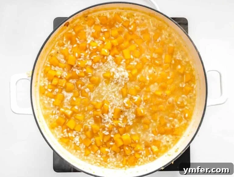 cooking the butternut squash risotto with vegetable broth