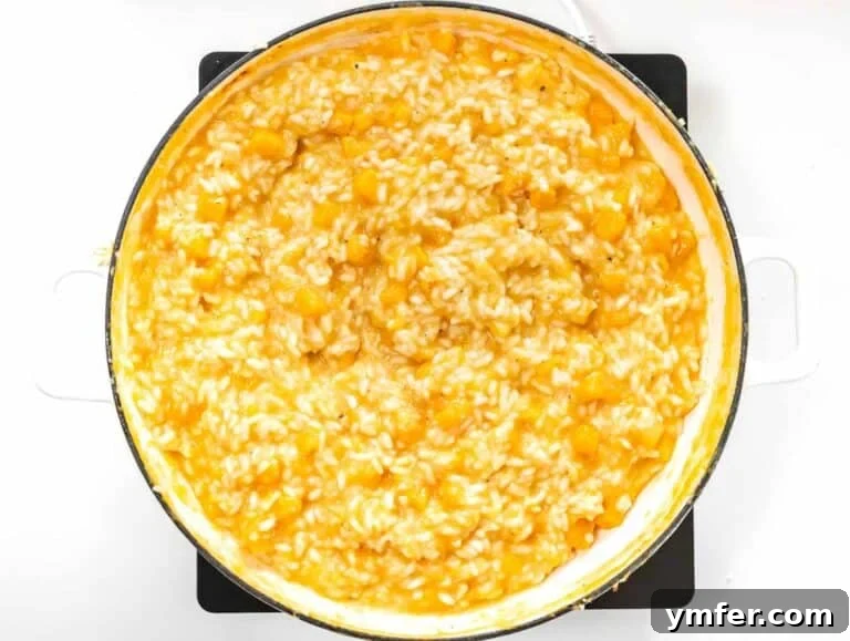 creamy butternut squash risotto in a dutch oven