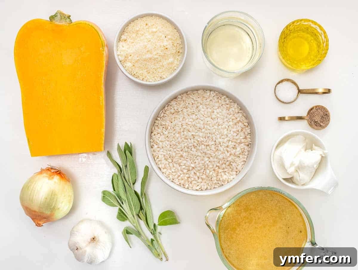 Creamy Butternut Squash Risotto 4 A flat lay of ingredients for butternut squash risotto including rice, squash, onion, garlic, wine, broth, sage, parmesan, butter, salt, and pepper.
