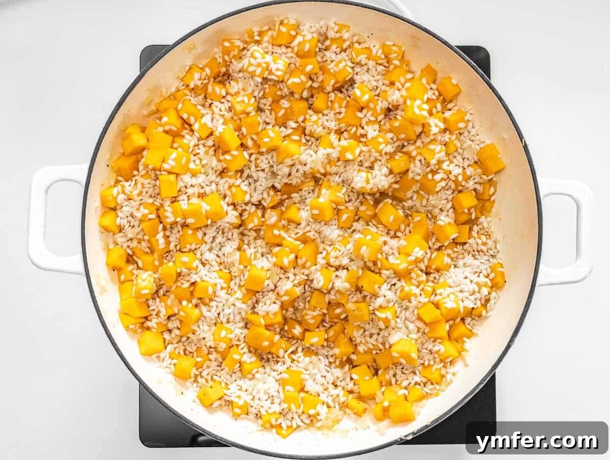 Creamy Butternut Squash Risotto 9 Toasted rice added to butternut squash and deglazed with white wine.
