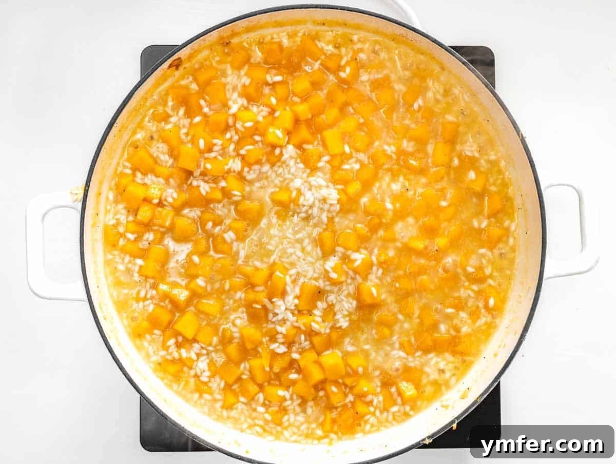 Creamy Butternut Squash Risotto 10 Butternut squash risotto simmering in a Dutch oven with vegetable broth.