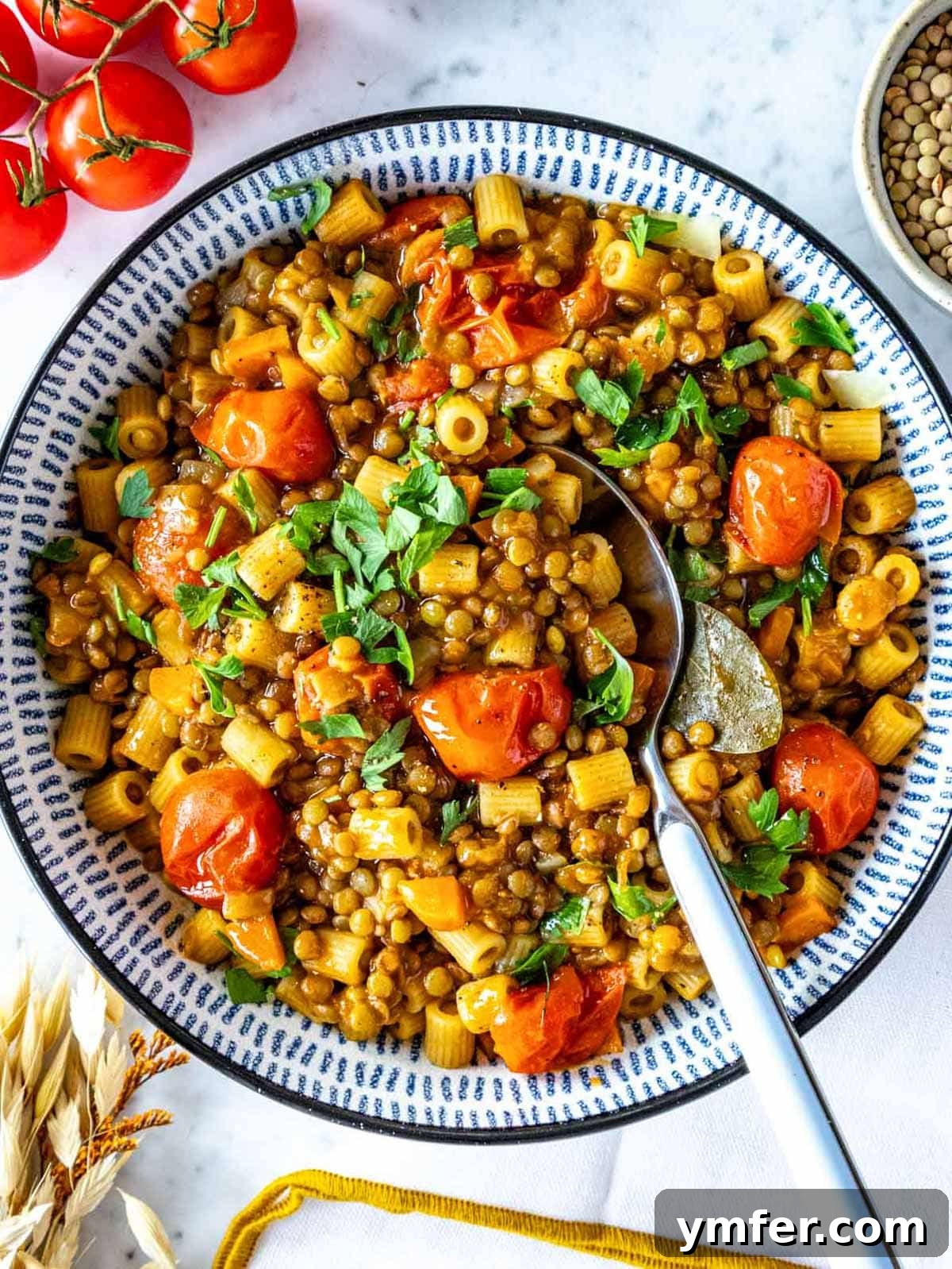 Plant-Powered Pasta 2 Lentil pasta.