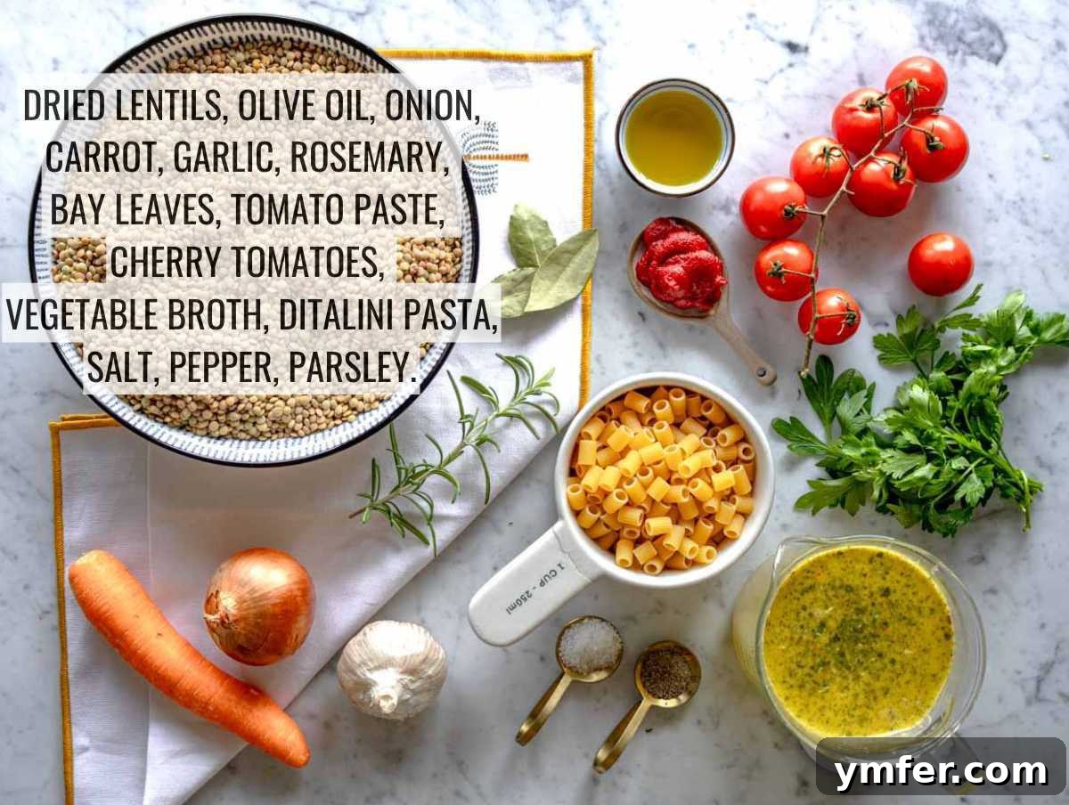 Plant-Powered Pasta 3 Ingredients to make lentil pasta.
