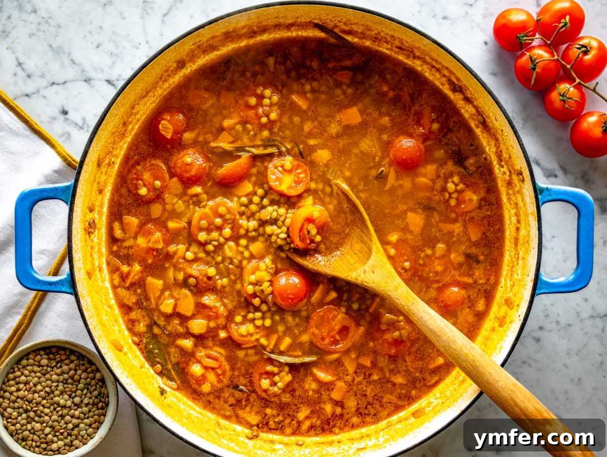 Plant-Powered Pasta 5 Simmering the lentils in broth with tomatoes.