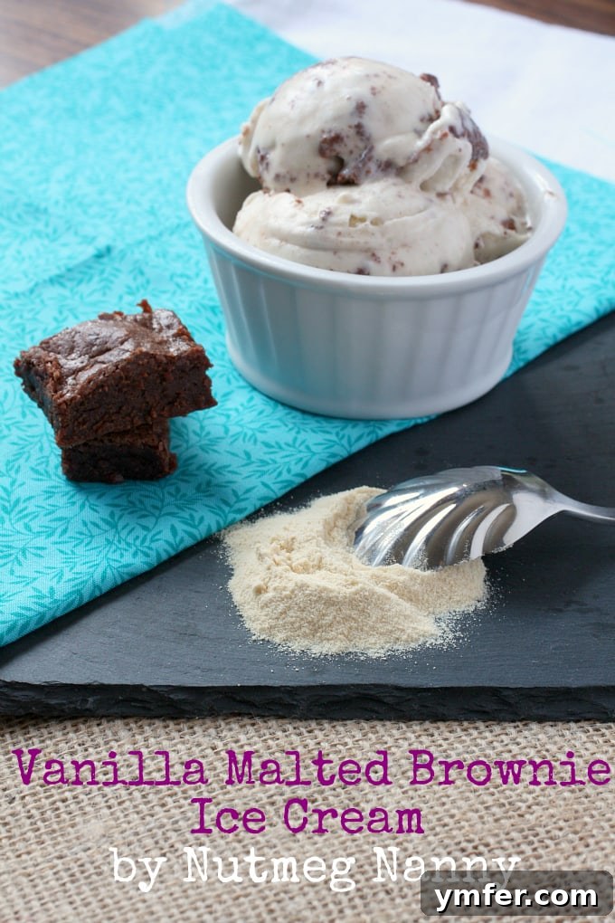 Vanilla Malted Brownie Ice Cream by Nutmeg Nanny Close-up of Vanilla Malted Brownie Ice Cream with visible brownie chunks