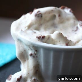 Malted Brownie Vanilla Swirl 2 img 5382 4