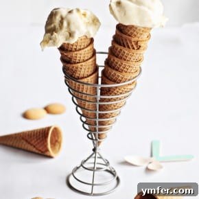 Grandma's Banana Pudding Swirl Ice Cream 2 img 5410 3