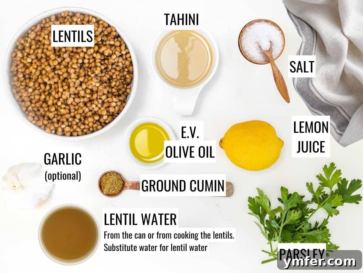 ingredients for lentil hummus