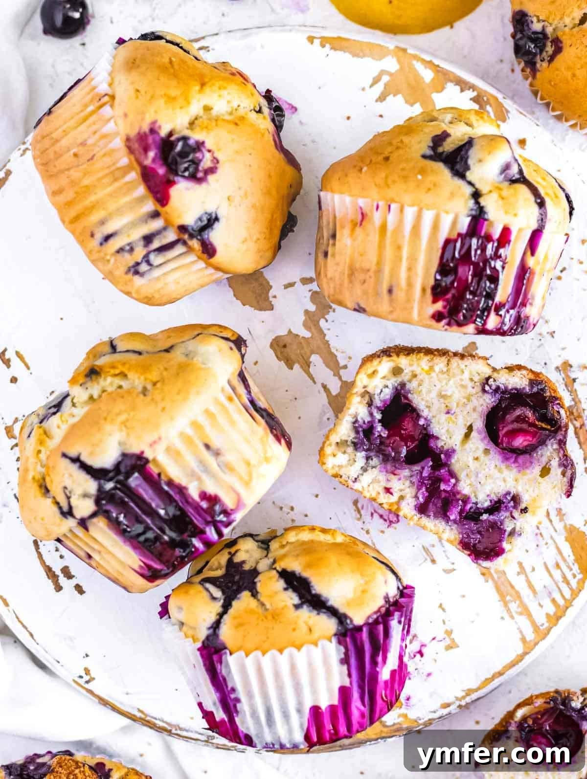 Pure Vegan Blueberry Bliss 2 Delicious Vegan Blueberry Muffins.
