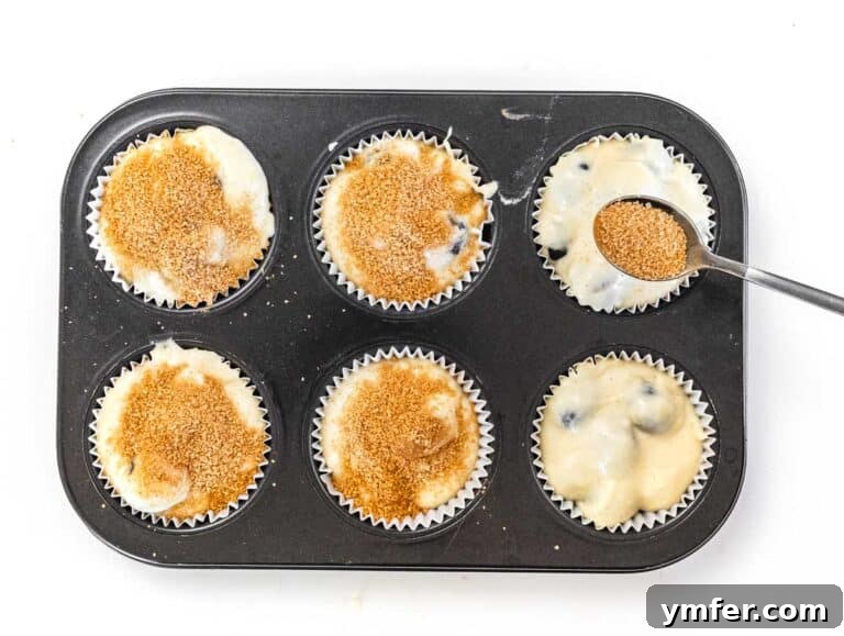 Pure Vegan Blueberry Bliss 14 muffins with cinnamon sugar
