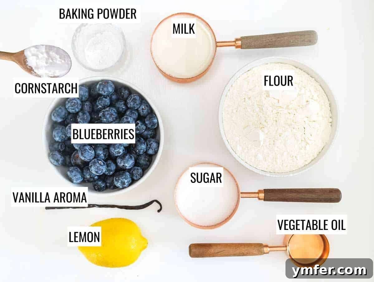 Pure Vegan Blueberry Bliss 4 Ingredients for Vegan Blueberry Muffins