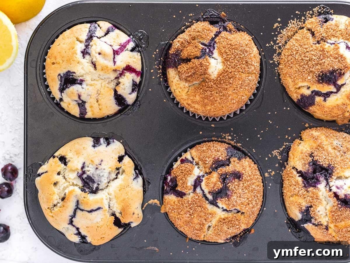 Pure Vegan Blueberry Bliss 8 Freshly baked vegan blueberry muffins