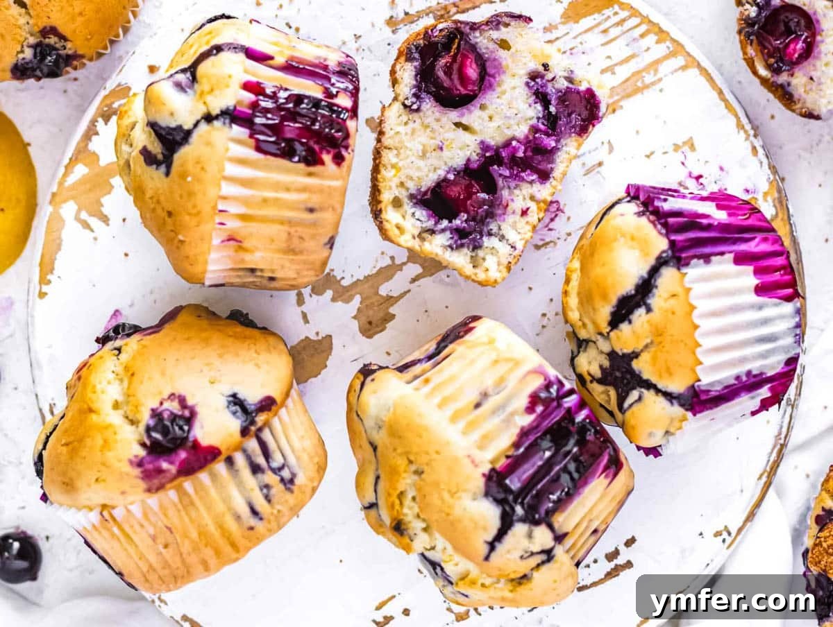Pure Vegan Blueberry Bliss 9 Cooling vegan blueberry muffins on a rack.