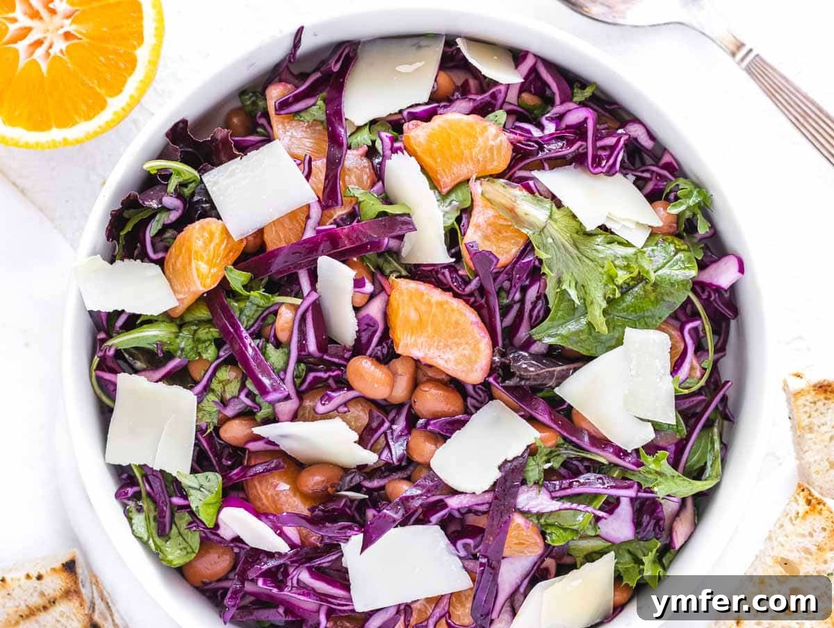 Zesty Red Cabbage Slaw 9 Red cabbage salad with parmesan cheese