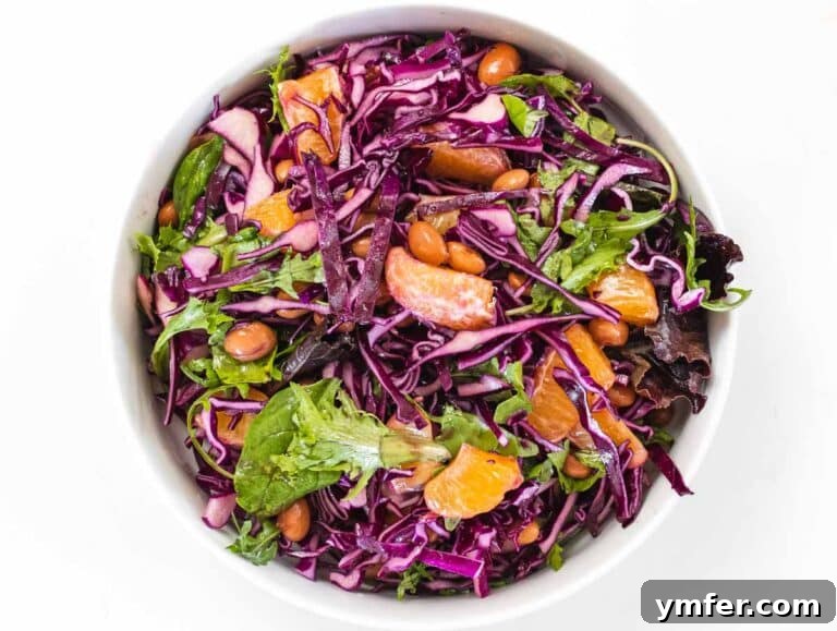 Zesty Red Cabbage Slaw 14 mix the veggies and legumes