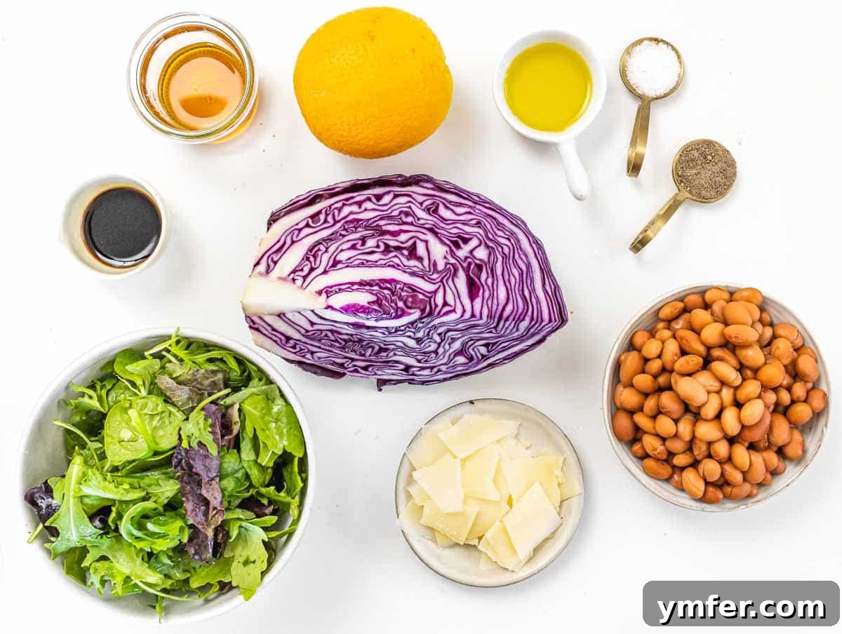 Zesty Red Cabbage Slaw 4 Red cabbage and ingredients