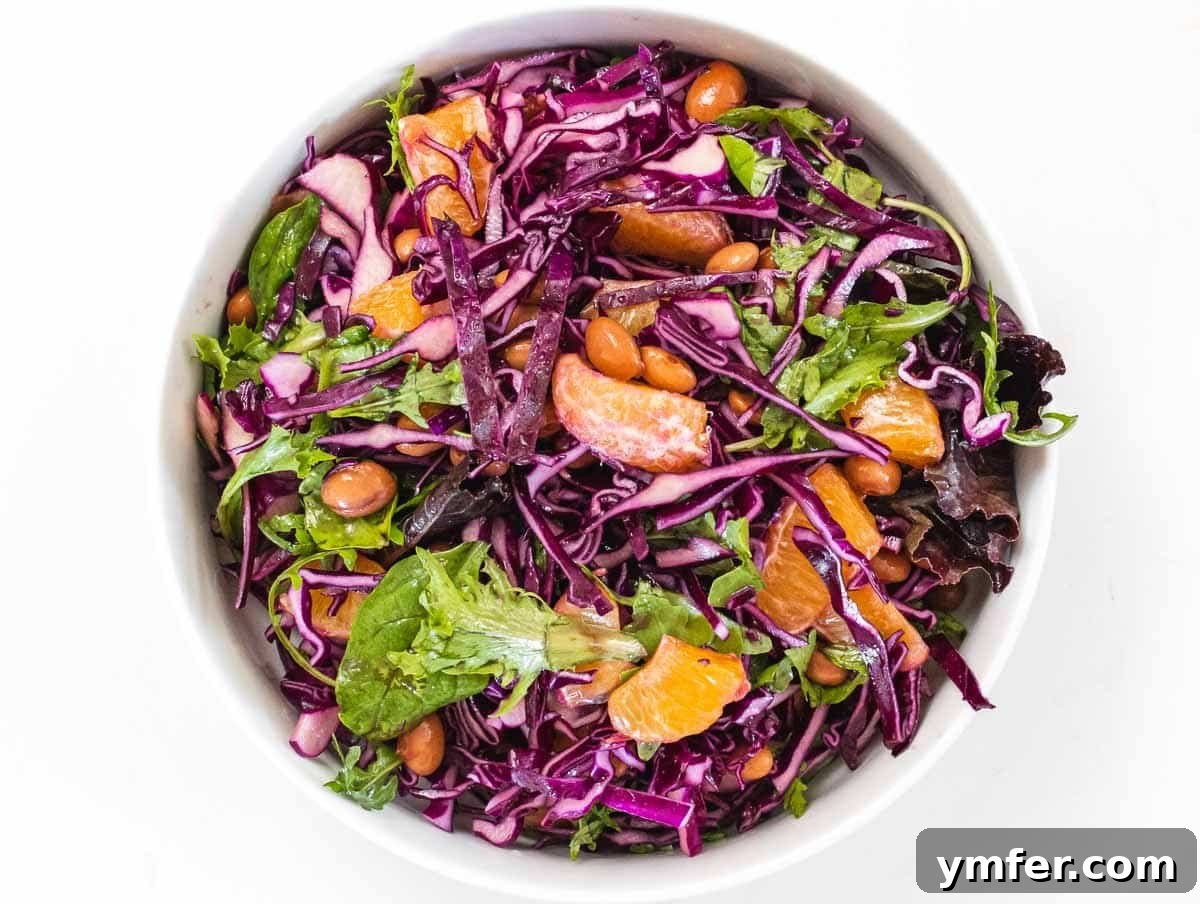Zesty Red Cabbage Slaw 7 mix the veggies and legumes