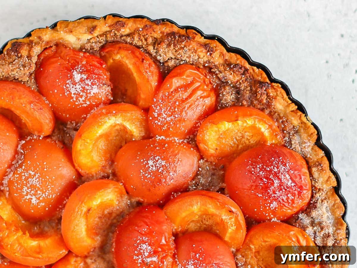 apricot tart, a delicious summer fruit dessert