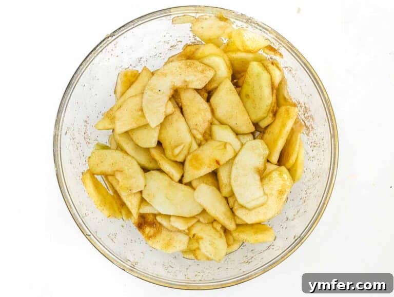 apple slices with sugar and cinnamon