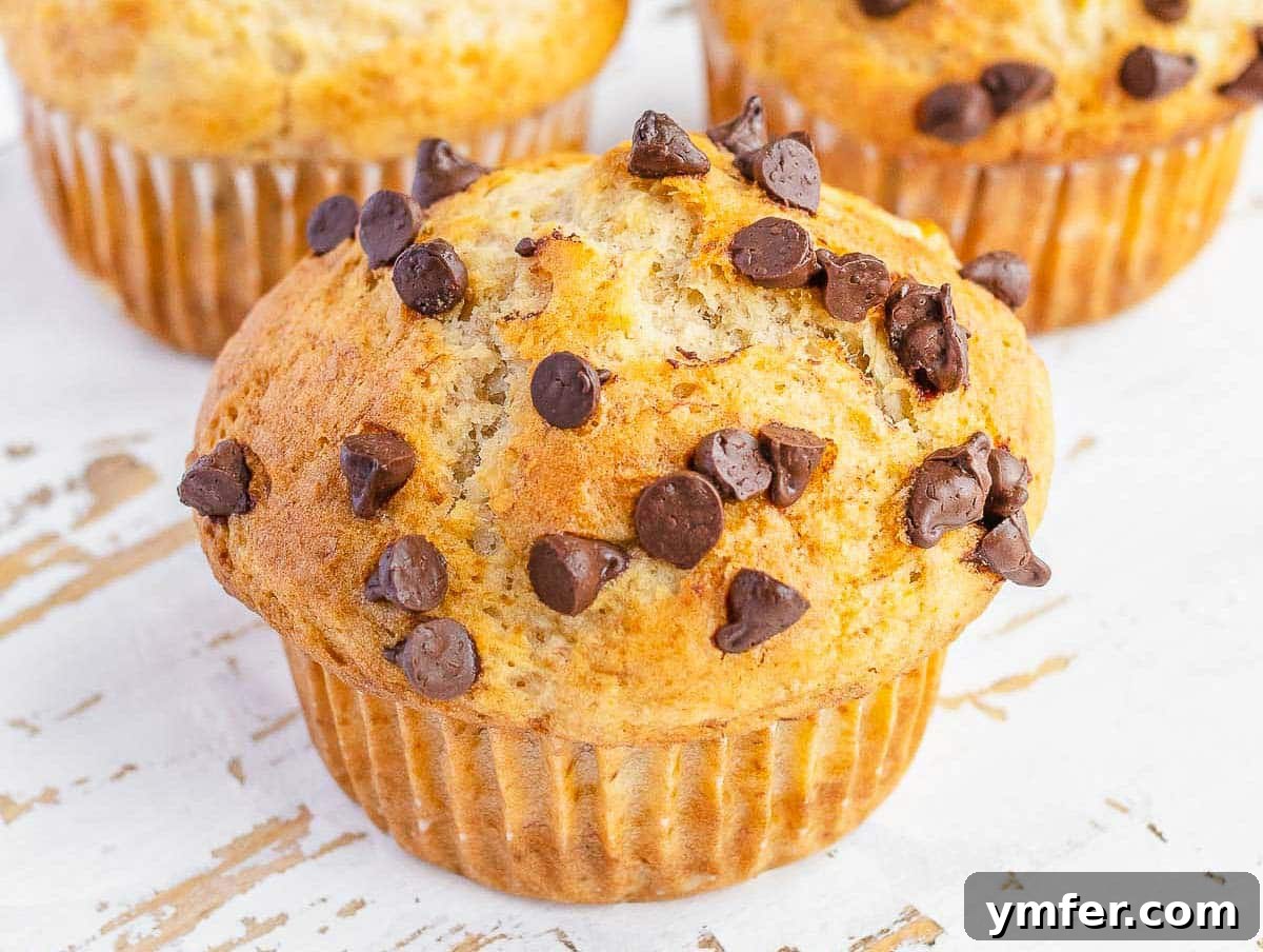 35 Effortless Dessert Delights 10 Vegan banana muffins freshly baked