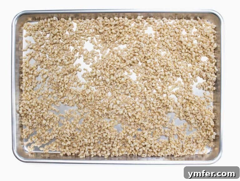 Hearty Barley Salad 16 Barley grains on a platter