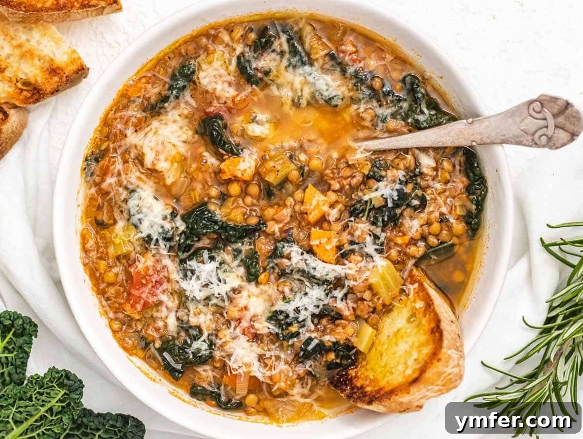 45 Effortless Vegetarian Dinner Ideas 18 Lentil soup with cheese and bread