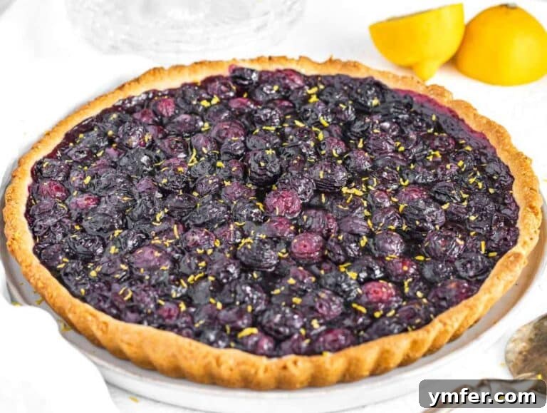 Baked blueberry tart with lemon zest on top.