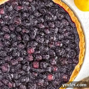 A stunningly baked Blueberry Tart, glistening with fresh fruit.