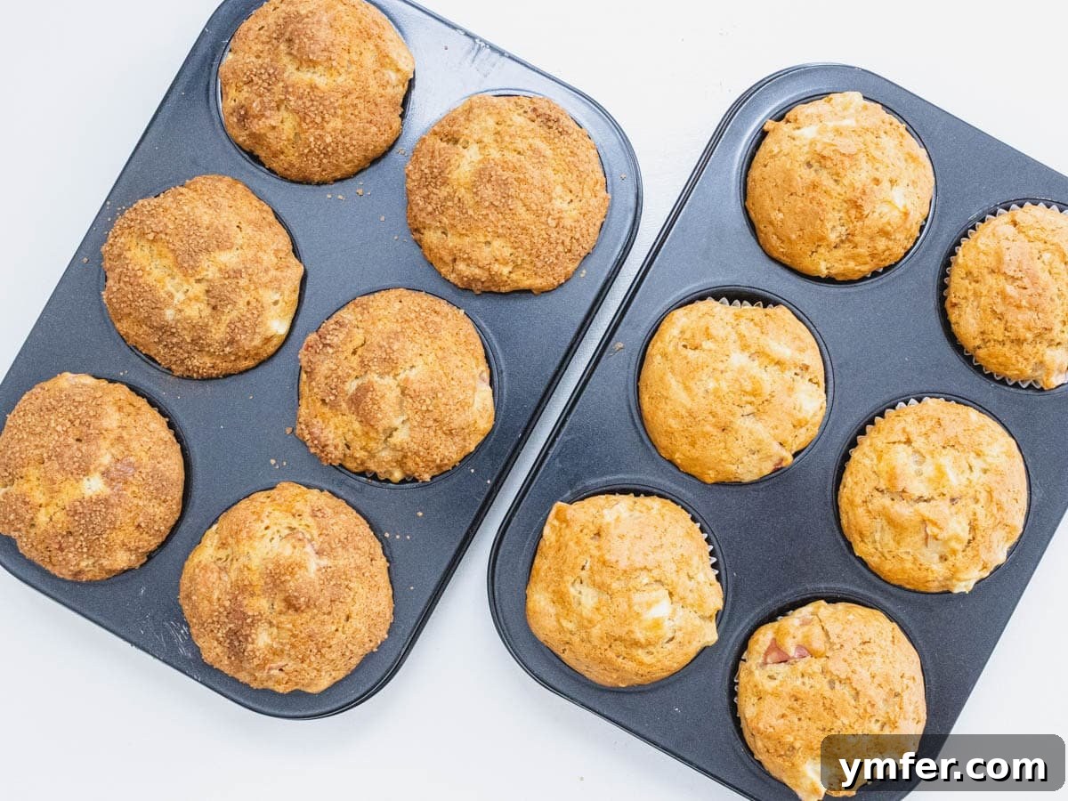 Cinnamon Apple Vegan Muffins 10 Freshly baked vegan apple muffins, golden and domed, straight out of the oven