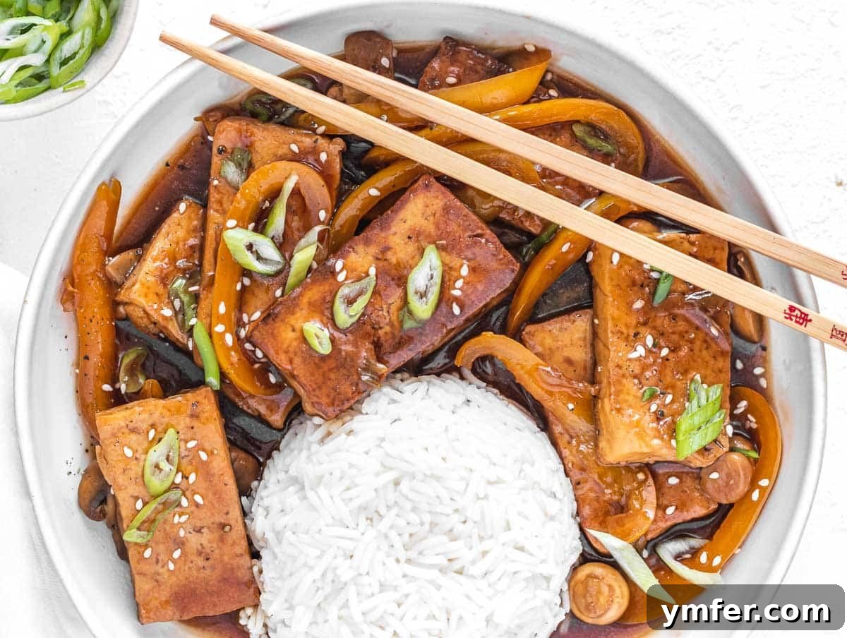 Umami Braised Tofu 3 braised tofu served with rice