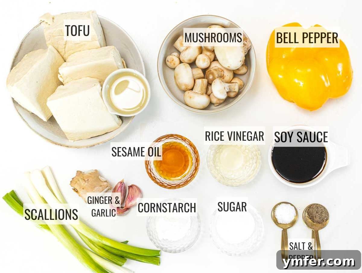 Umami Braised Tofu 4 ingredients for braised tofu