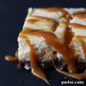Ginger Plum Ribbon Cheesecake Bars 2 img 5839 4