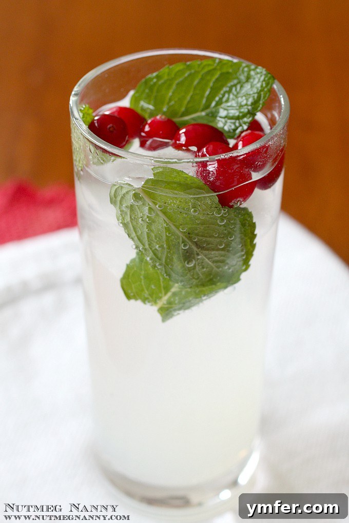 Winter Dreams Cocktail by Nutmeg Nanny {The Twelve Boozy Days of Christmas} Close-up of a refreshing Winter Dreams Cocktail in a tall glass, adorned with festive cranberries and a sprig of fresh mint. The drink showcases its clear, bubbly, citrusy appeal.