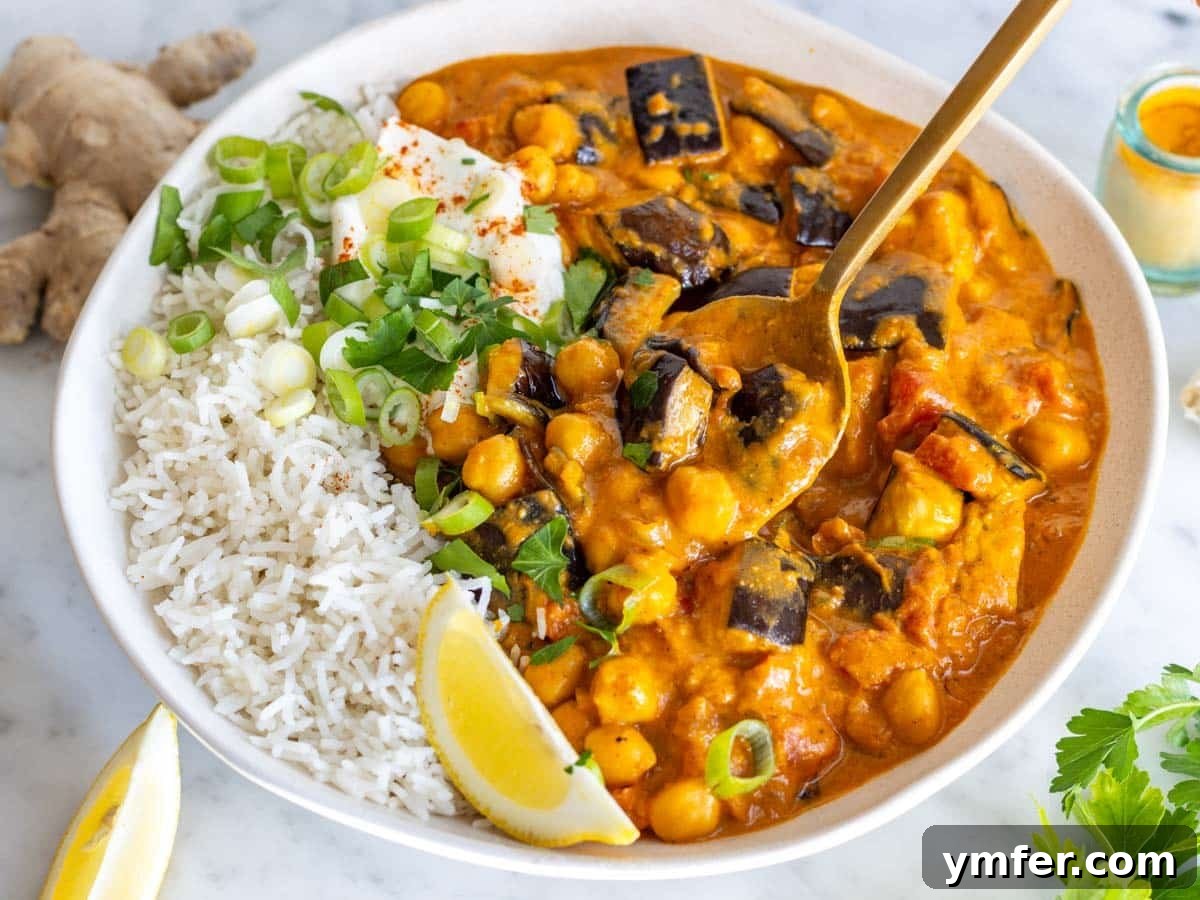 Aubergine Delight 6 Creamy eggplant curry in a white bowl with rice.