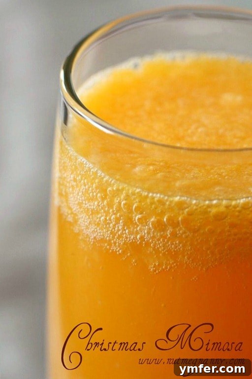 Christmas Mimosa by Nutmeg Nanny Christmas Mimosa by Nutmeg Nanny