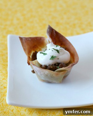 Wonton Tacos by Nutmeg Nanny Wonton Tacos, a delicious bite-sized appetizer by Nutmeg Nanny