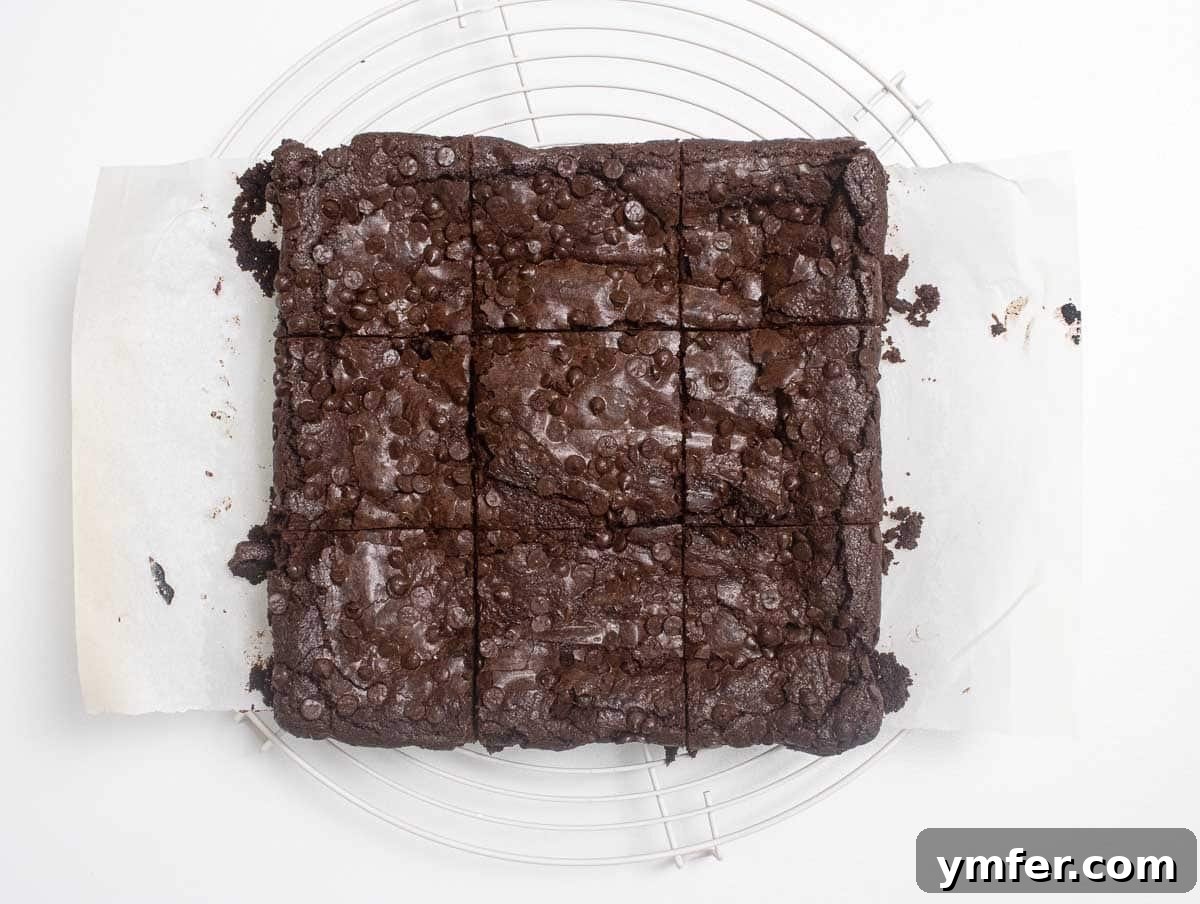 Decadent Plant-Based Brownies 15 vegan brownies cut on a wire rack