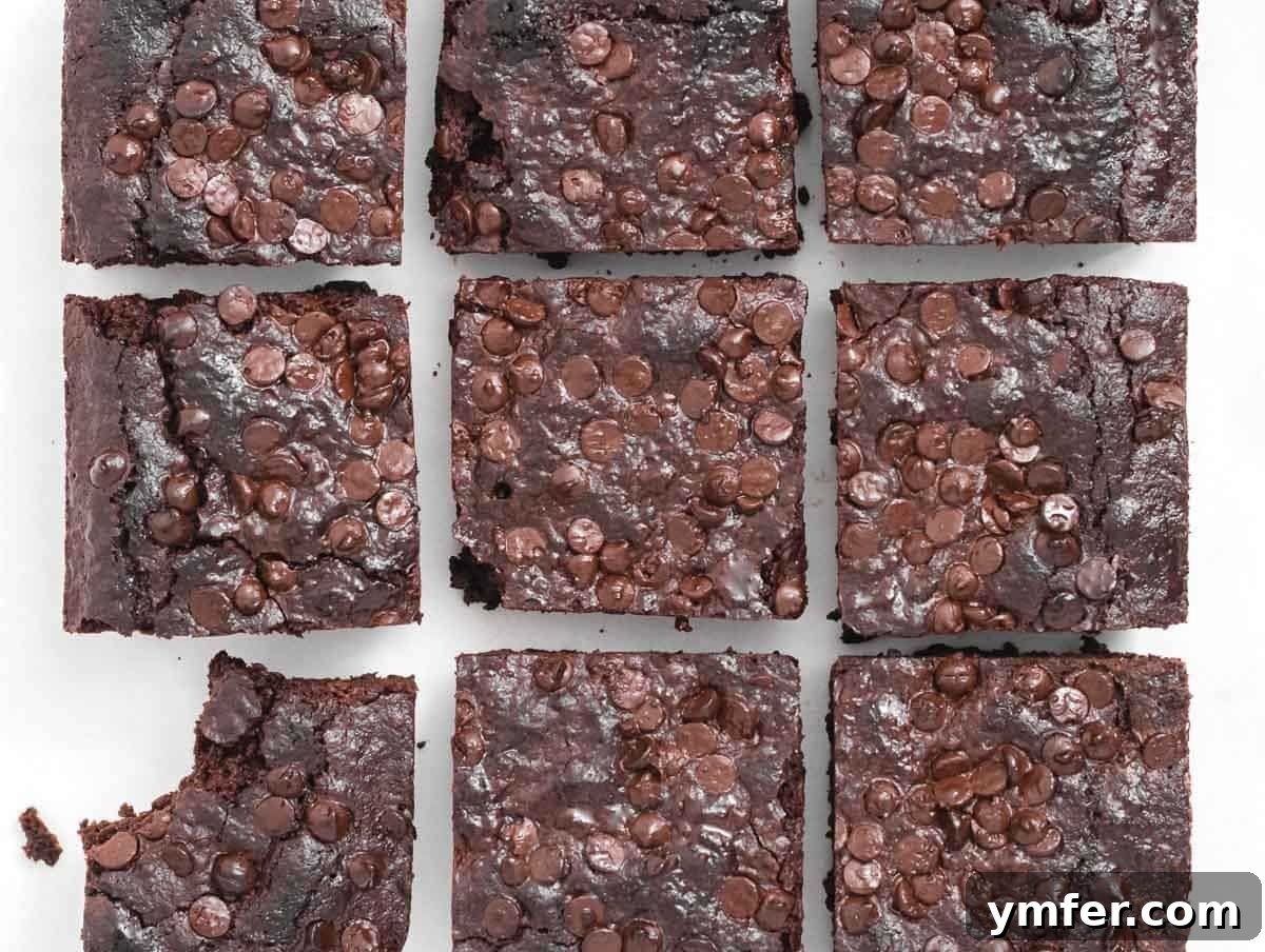 Decadent Plant-Based Brownies 17 Vegan brownies with shine