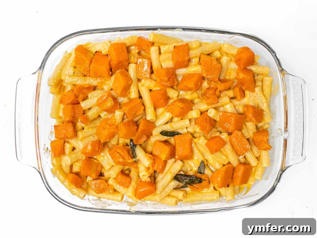 Golden Harvest Pumpkin Pasta 13 Remaining roasted pumpkin pieces scattered over the top of the pumpkin pasta in the baking pan.