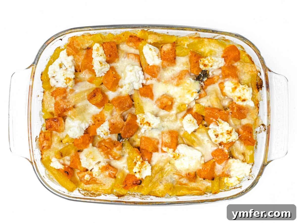 Golden Harvest Pumpkin Pasta 15 The finished pumpkin pasta bake, golden brown and bubbling, fresh out of the oven.