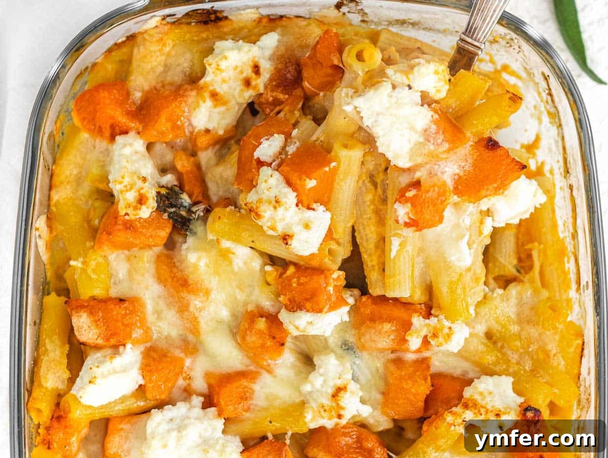 Golden Harvest Pumpkin Pasta 16 A serving of pumpkin pasta bake garnished with fresh herbs, showcasing its hearty and appealing presentation.