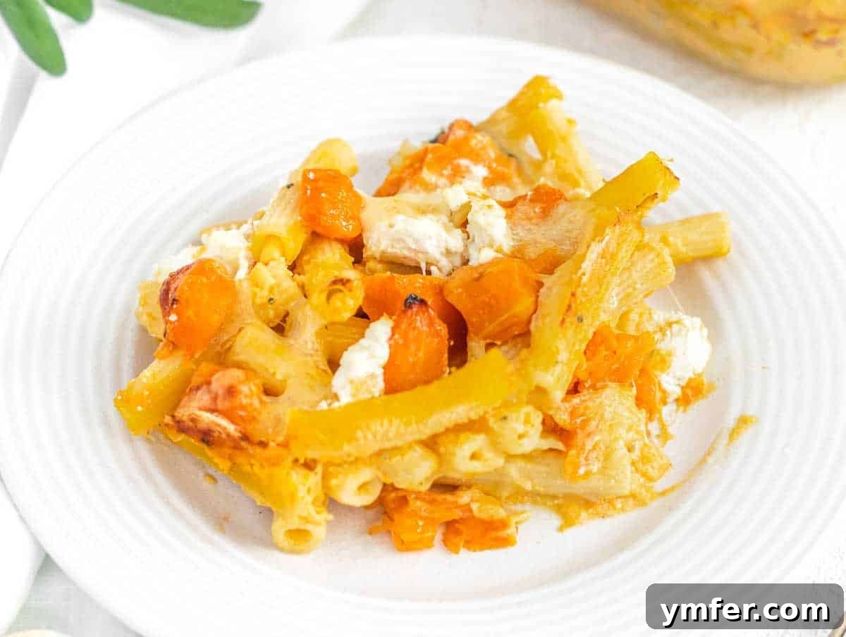 Golden Harvest Pumpkin Pasta 3 A close-up shot of the creamy pumpkin pasta bake on a white plate, showcasing the vibrant orange sauce and perfectly cooked pasta.