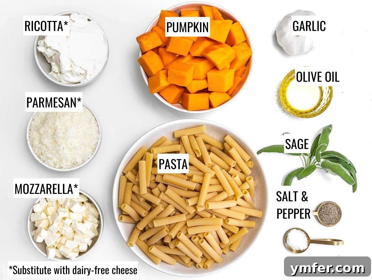 Golden Harvest Pumpkin Pasta 4 A flat lay photograph displaying all the fresh ingredients for pumpkin pasta bake, including diced pumpkin, pasta, cheeses, garlic, and sage.