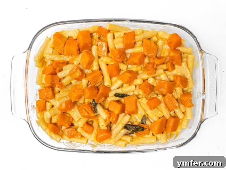 Golden Harvest Pumpkin Pasta 24 Roasted pumpkin pieces artfully arranged on top of the pasta in the baking pan.