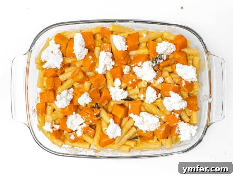Golden Harvest Pumpkin Pasta 25 Dollops of ricotta cheese placed on top of the pumpkin and pasta mixture in the baking pan.
