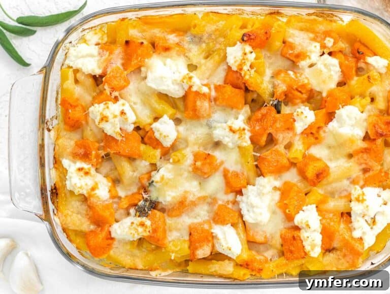 Golden Harvest Pumpkin Pasta 27 The pumpkin pasta bake, golden brown and perfectly melted cheese, garnished with fresh garlic and sage.
