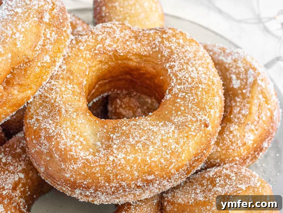 Decadent Chocolate-Coated Doughnuts 12 vegan donuts with sugar